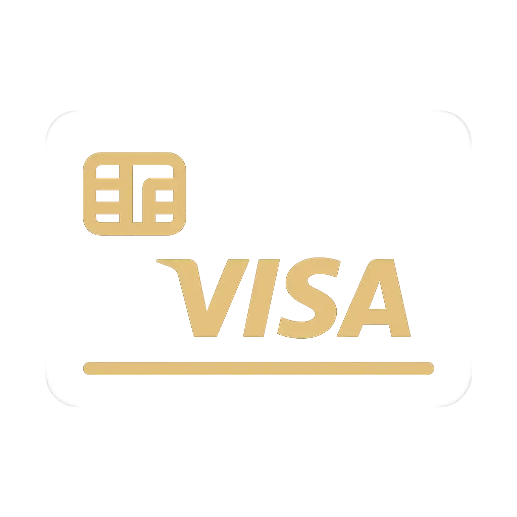 Visa payment icon